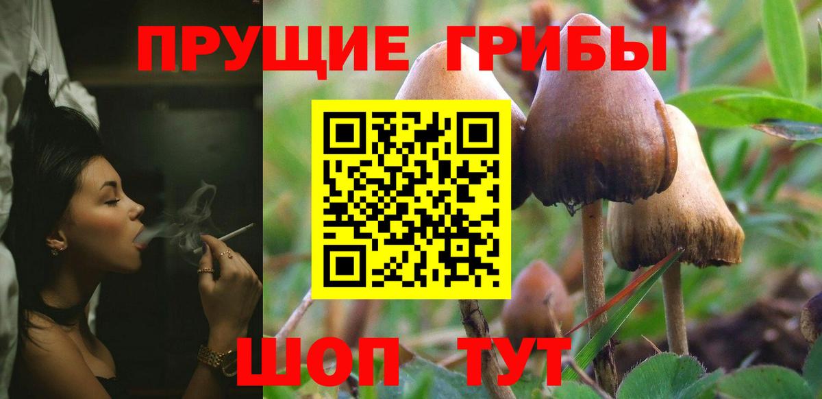 Псилоцибиновые грибы ЛСД  Вход с VPN  купить   Елабуга 